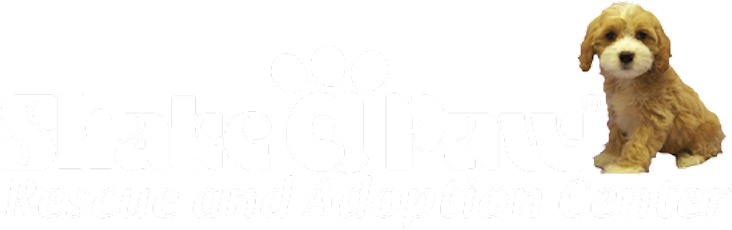 logo-img